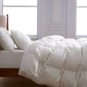 Quince Luxurious White Down Alternative  Comforter